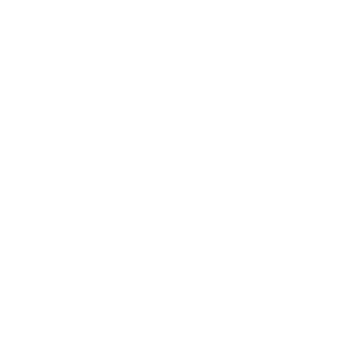 North Star Rental social media icon