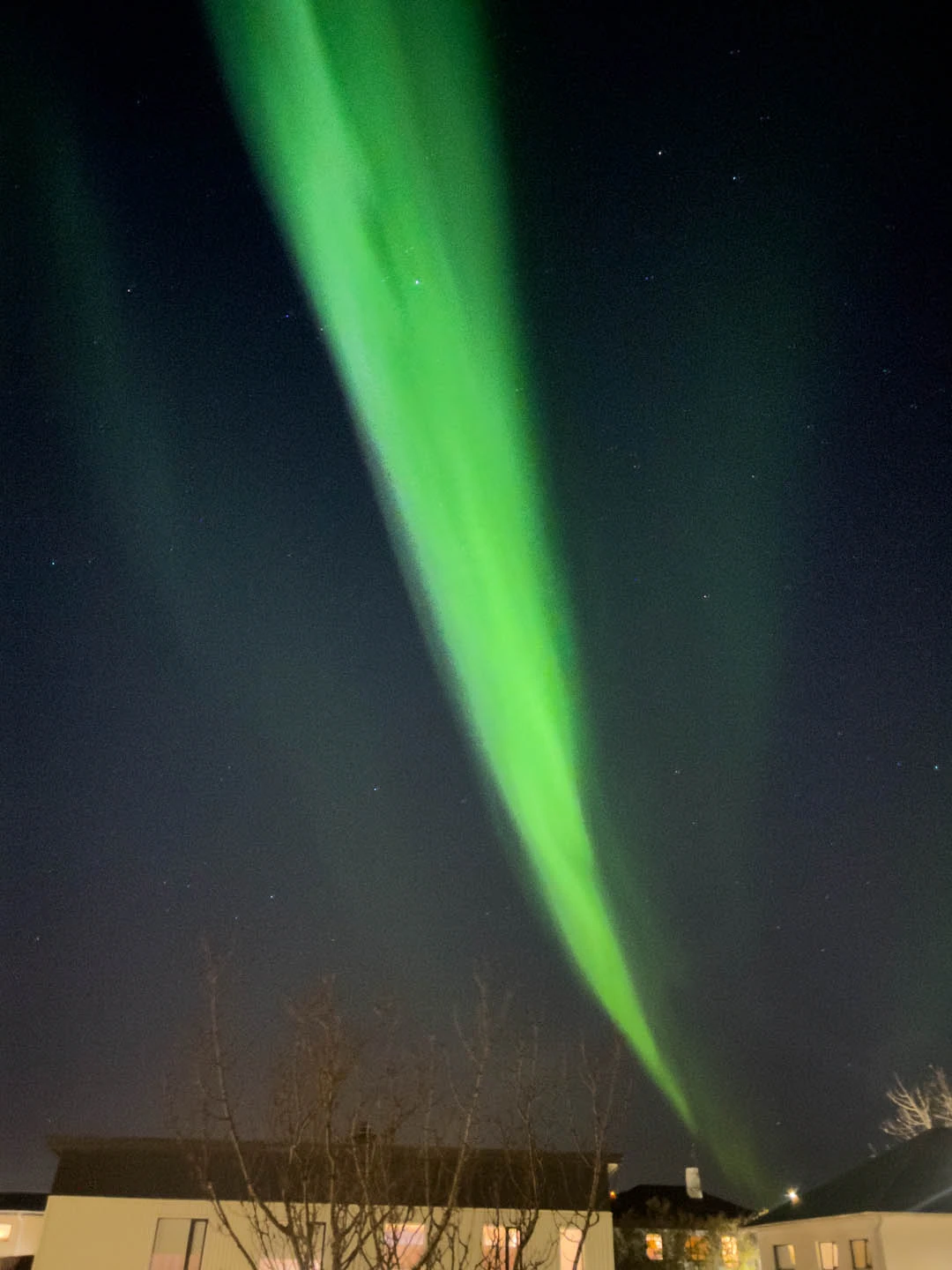 Vibrant green Northern Lights in Iceland glowing above leafless trees and a quiet residential home at night.