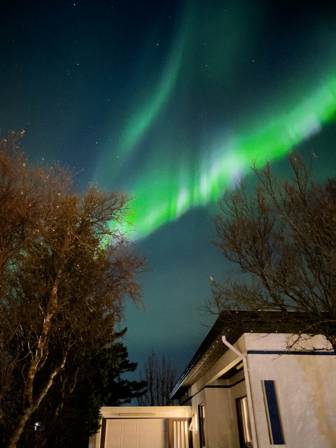 Bright green Northern Lights in Iceland glowing above residential houses and winter trees in a quiet neighborhood.
