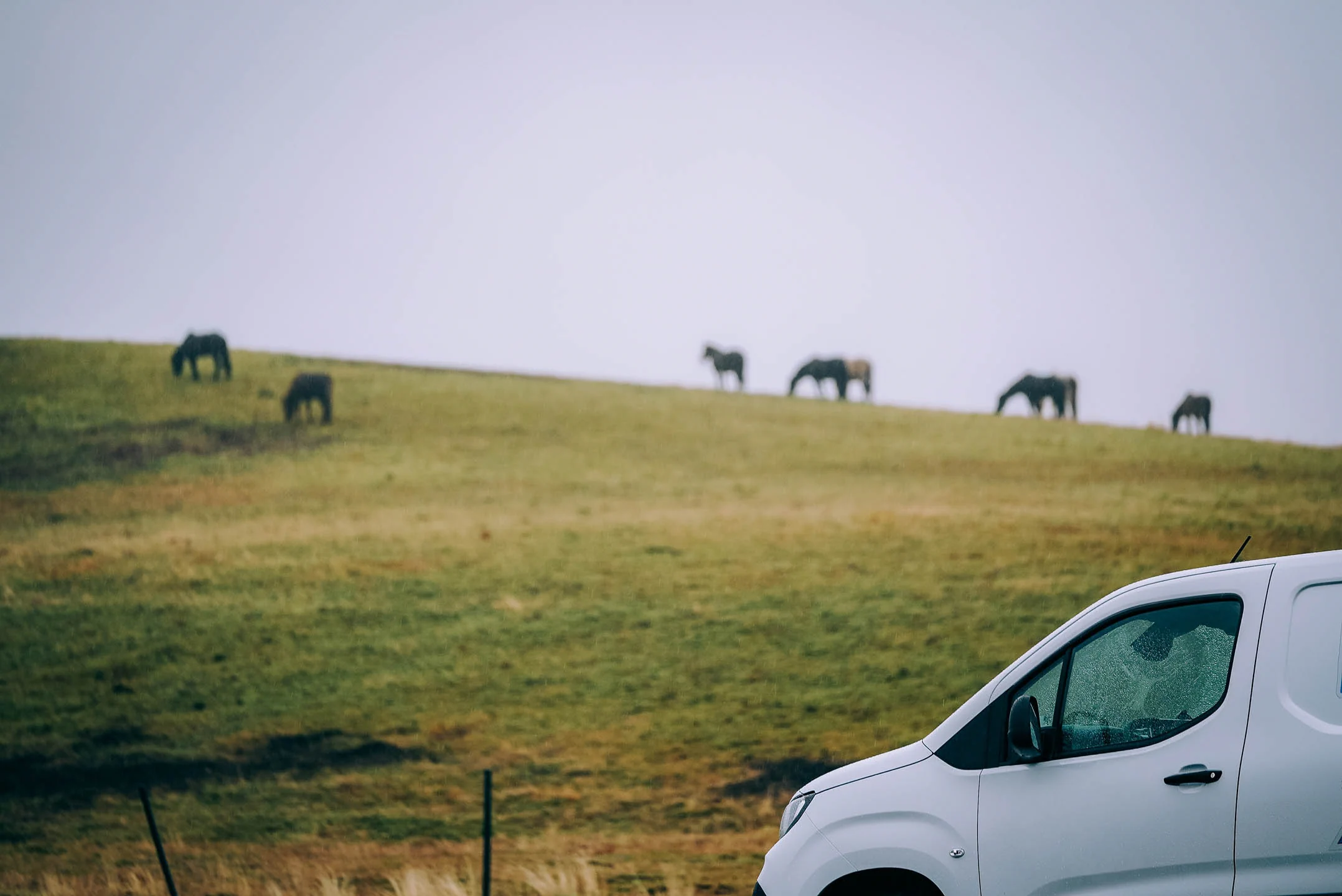 Compact campervan parked in the Icelandic countryside with horses grazing on green hills