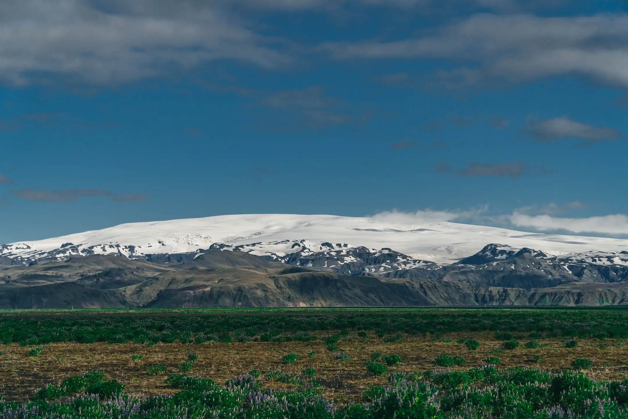 Green valley combine with snowy mountains on the backround, south of iceland views